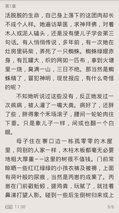 在菲律宾办理结婚签证能不能转工作签证_菲律宾签证网